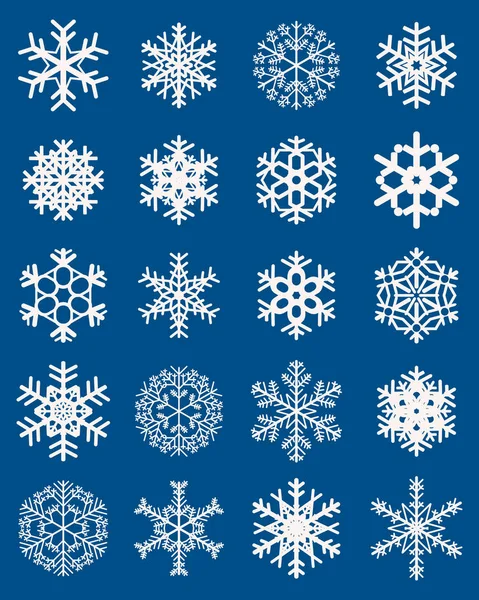 Set of different snowflakes — Stock Vector