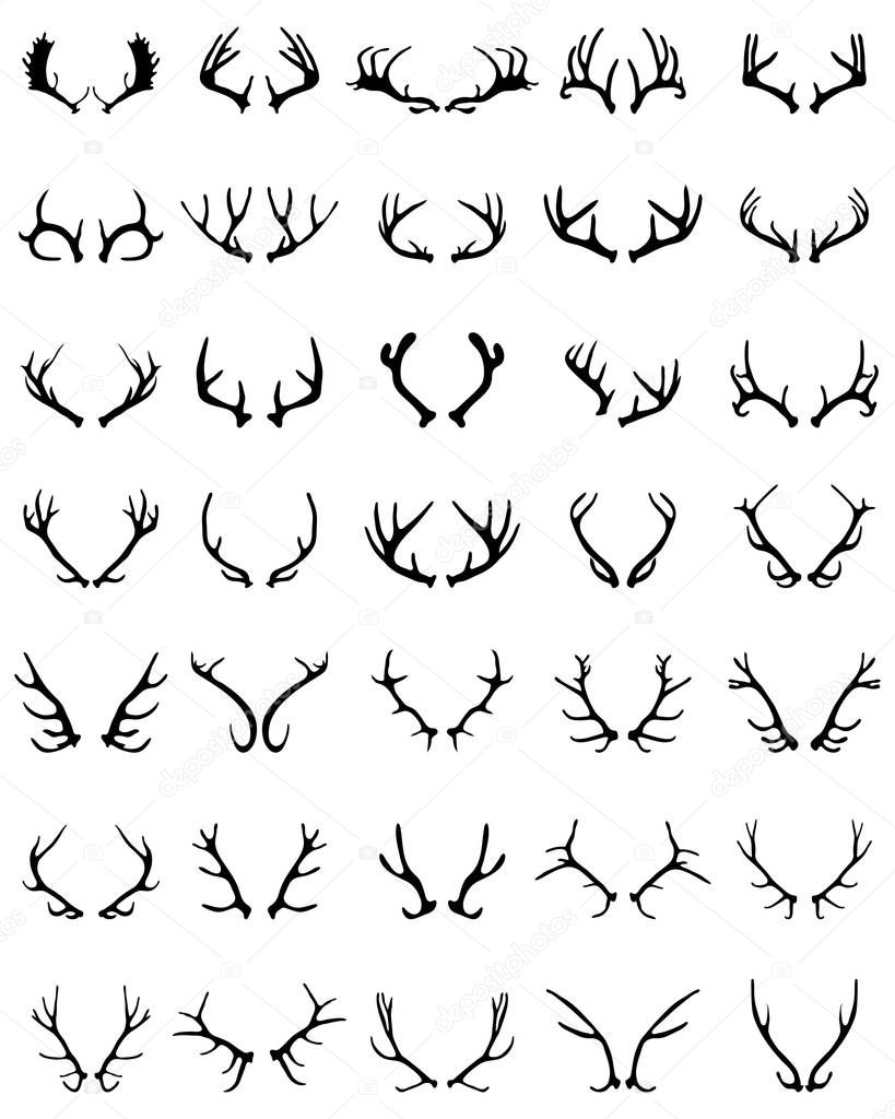 Black silhouettes of different deer horns on a white background