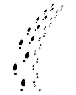 İnsan ve köpeğin ayak izleri, sağa dönün, vektör