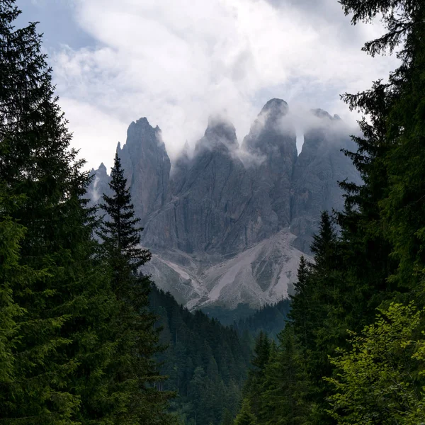 ドロミテ山脈の木々の間のフルケッタ山の眺めイタリアアルプスの山々 — ストック写真