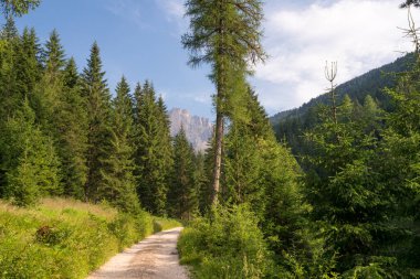 Santa Magdalena 'daki dağda yürüyüş yolu İtalyan Alpleri