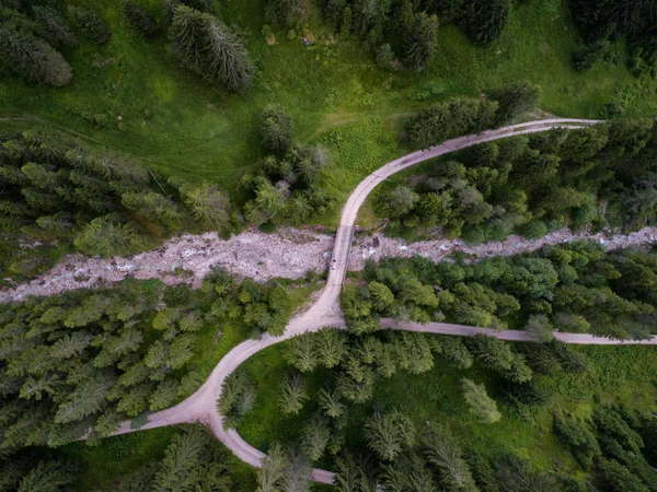 Luchtdrone Uitzicht Bomen Vanaf Top Een Bos Italiaanse Dolomieten Alpen — Stockfoto