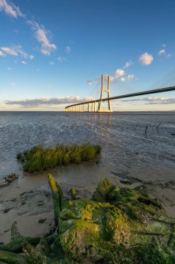 Ponte Vasco da Gama Köprüsü manzaralı gün batımında Rio Tejo nehrinin yanında