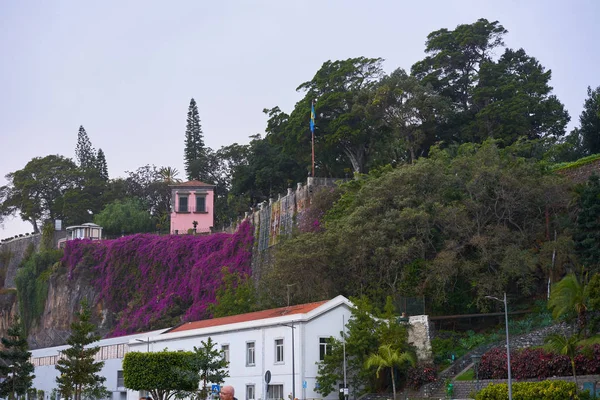 Oficjalny Rezydent Prezydenta Madery Quinta Vigia Maderze Funchal — Zdjęcie stockowe