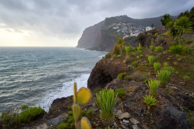 Miradouro da Torre 'nin Camara de Lobos, Madeira' daki kaktüslü Atlantik kıyı şeridine bakış açısı