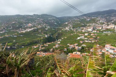 Camara de Lobos, Madeira 'da muz ağaçlarıyla Atlantik kıyı şeridine bakan Miradouro da Torre manzarası