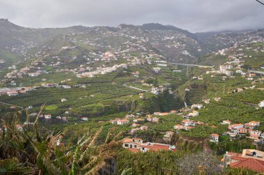 Camara de Lobos, Madeira 'da muz ağaçlarıyla Atlantik kıyı şeridine bakan Miradouro da Torre manzarası