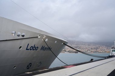 Lobo marinho yolcu gemisi Funchal limanında.