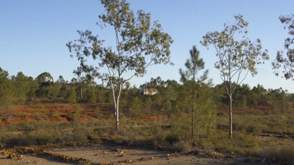 Εγκαταλελειμμένα Ορυχεία Της Mina Sao Domingos Στο Alentejo Της Πορτογαλίας — Αρχείο Βίντεο