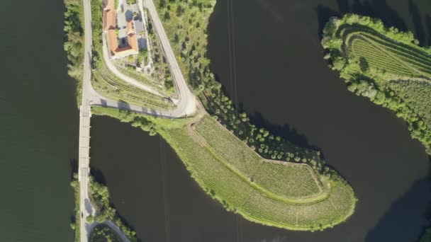 Quinta Tedo Drone Zicht Vorm Bocht Rivier Douro Wijngebied Portugal — Stockvideo