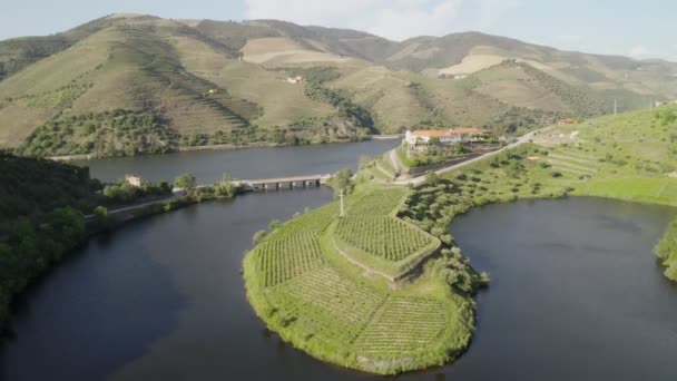 Vista Drone Quinta Tedo Sobre Rio Curva Forma Região Vinícola — Vídeo de Stock