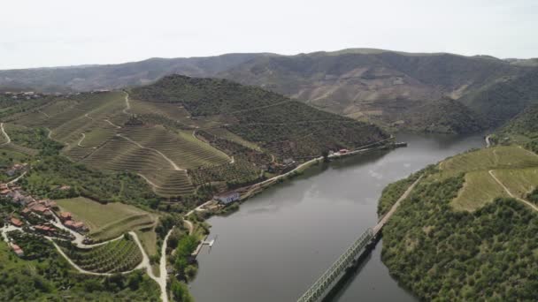 Drone View Railway Bridge Douro Region Ferradosa Portugalia — Wideo stockowe