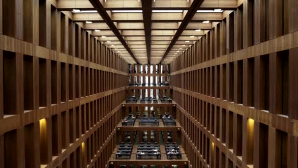 ベルリン大学ハンボルト大学図書館内 — ストック動画