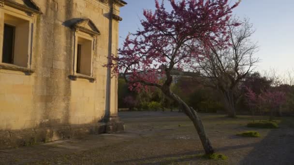 Pustelnia Nossa Senhora Conceicao Tomar Portugalia — Wideo stockowe