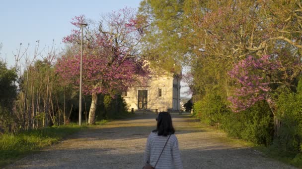 Kvinna Trädgården Convento Cristo Kristus Kloster Tomar Portugal — Stockvideo