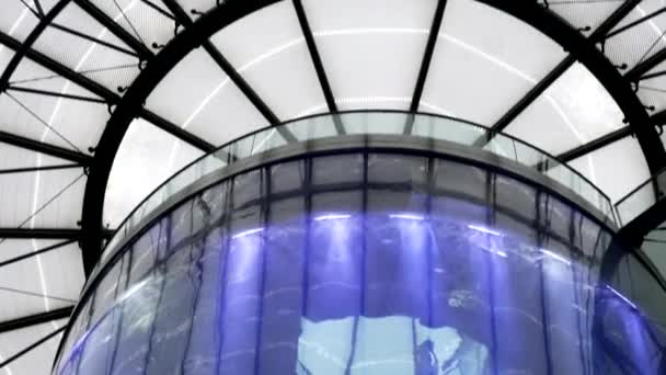 Acquario All Interno Del Radisson Hotel Sea Life Berlino — Video Stock