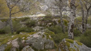 Serra da Estrela, Portekiz 'de Covao d ametade
