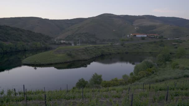 キンタ S字型のビューは ポルトガルの日没時にドゥオーロワイン地域で川を曲げる — ストック動画