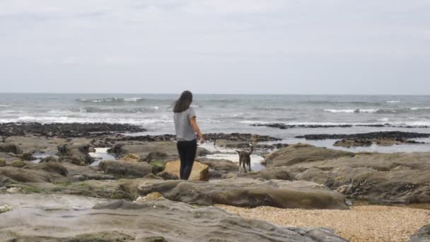 Γυναίκα Και Σκύλος Στην Παραλία Praia Granja Στην Πορτογαλία — Αρχείο Βίντεο