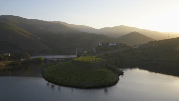 Quinta Tedo Uitzicht Vorm Bocht Rivier Douro Wijngebied Bij Zonsondergang — Stockvideo
