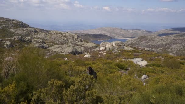 Ruta Las Lagunas Del Paisaje Serra Estrela Portugal — Vídeo de stock