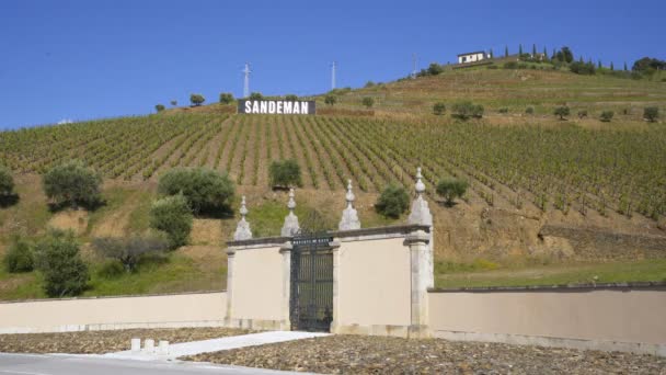 Вход Виноградник Sandeman Douro Португалии — стоковое видео