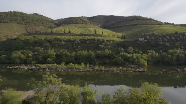 Foz Tua Wijngebied Met Tua Rivier Portugal — Stockvideo