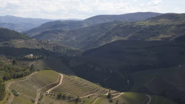 Wijnbouwregio Douro Heeft Wijngaard Portugal — Stockvideo