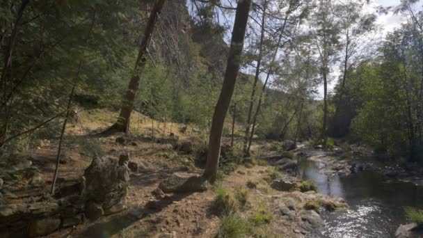 Paisaje Pasarela Pasarela Penedo Furado Passadico Vila Rei Portugal — Vídeo de stock