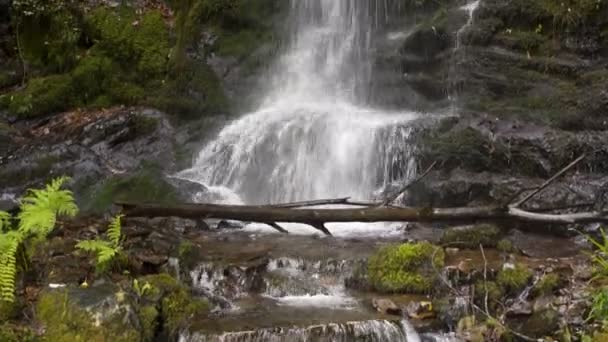 Cascade Dans Village Gondramaz Schist Portugal — Video