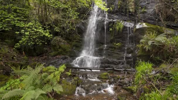 Vattenfall Gondramaz Schist Byn Portugal — Stockvideo