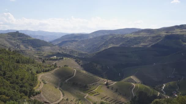 Vinha Região Douro Tem Vinha Portugal — Vídeo de Stock