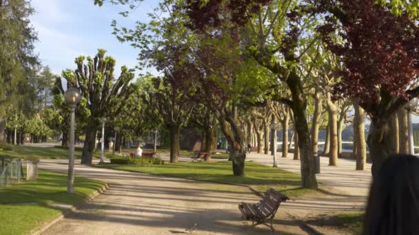 Парк Мануэля Брага Коимбре Португалия — стоковое видео