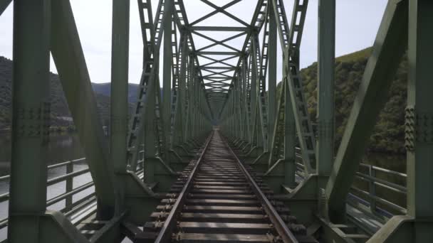 Järnvägsbro Douroregionen Ferradosa Portugal — Stockvideo