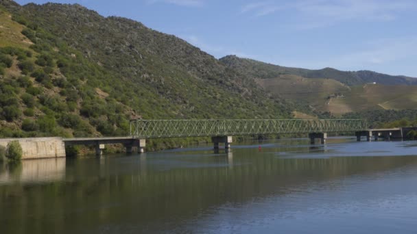 Treno Sul Ponte Ferroviario Nella Regione Douro Ferradosa Portogallo — Video Stock