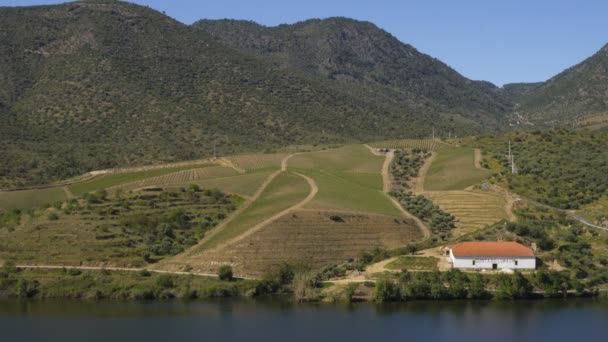Portekiz Deki Douro Şarap Bölgesi Üzüm Bağları — Stok video