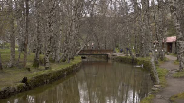 Serra Estrela Portekiz Covao Ametade — Stok video