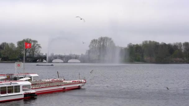 Hamburg Daki Alster Çeşmesinin Manzarası Arka Planda Turist Teknesi Var — Stok video