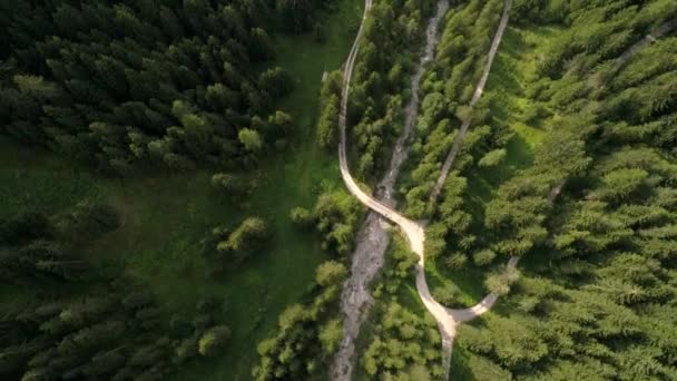 位于圣玛格达莱娜的意大利白云石阿尔卑斯山上 空中无人机俯瞰着森林顶部的树木 — 图库视频影像