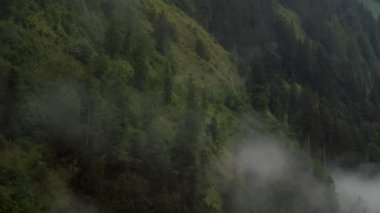 Avusturya Alp Dağları 'ndaki ağaçların yanından geçen bulutların zamanı