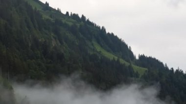 Avusturya Alp Dağları 'ndaki ağaçların yanından geçen bulutların zamanı
