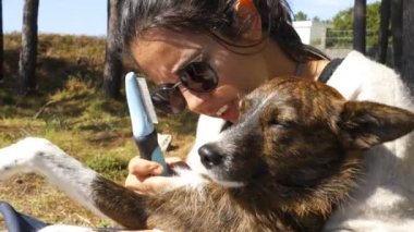 Rahatlamış köpek tüyü tımarlayan bir kadın güneşli bir ormanda kafasına masaj yapıyor.