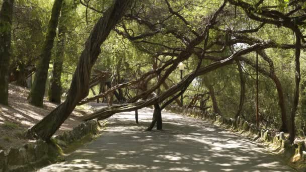 Parc Parque de La Salette à Oliveira de Azemeis, Portugal 