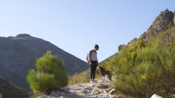 Frau Wandert Mit Hund Naturlandschaft Geres Nationalpark Portugal — Stockvideo