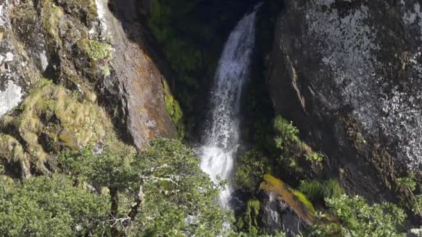 Şelale Yavaş Çekimde Pitoes Das Junias Cascata Daki Ağaçlarla Portekiz — Stok video