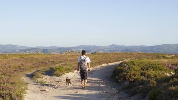Man Hiking Walking Nature Landscape Dog Geres National Park Portugal — Stock Video