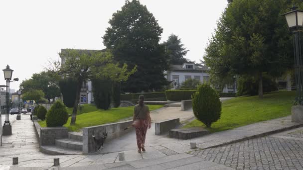 Frau Und Hund Spazieren Einem Park Der Stadt Guimaraes Portugal — Stockvideo