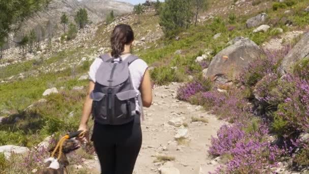 Frau Wandert Mit Hund Naturlandschaft Geres Nationalpark Portugal — Stockvideo