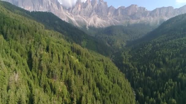 Luchtdrone Uitzicht Bomen Vanaf Top Een Bos Italiaanse Dolomieten Alpen — Stockvideo