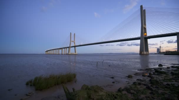 日落时在里约Tejo河附近的Ponte Vasco Gama桥视图 — 图库视频影像